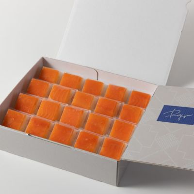 冷凍押し寿司【Rejyu】のカテゴリ―一覧ページ | ますのすし本舗 源